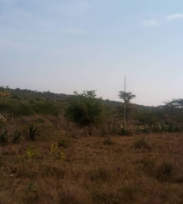 WhatsApp Image 2024-06-25 at 9.49.29 AM.jpeg